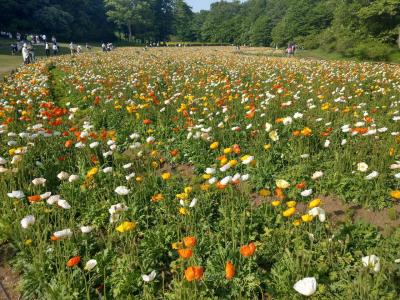 2018年春の森林公園