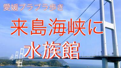 愛媛ブラブラ歩き・・来島海峡ＳＡに水族館ができていた