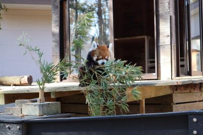 家族で千葉市動物公園に行ってみた