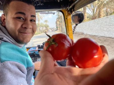 2/5 クレイジーすぎる1日　دهشورダフシュール