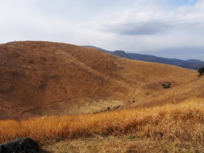 定番・伊東への小旅行　２日目（伊東・大室山・御殿場）