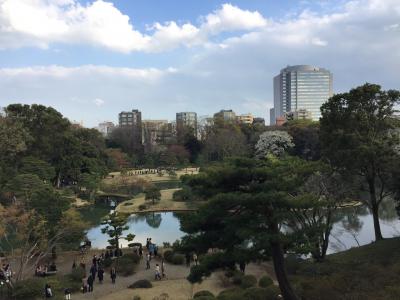 桜2019 六義園は立派な日本庭園でした