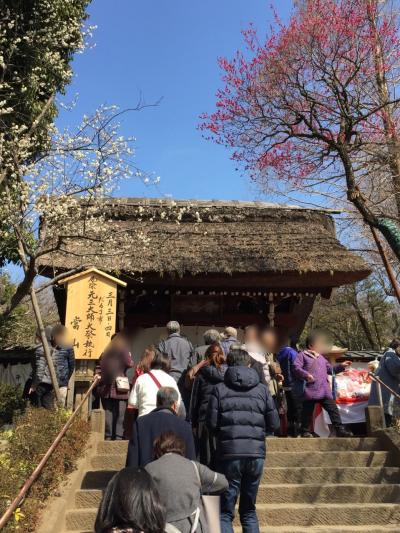 深大寺のだるま市 蕎麦めぐり