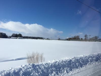 北海道で気になるものを食べ尽くす1日目