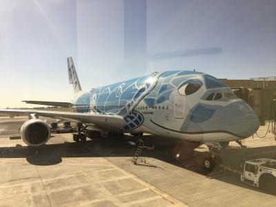 空いてるハワイ7