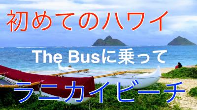 初めてのハワイ・・The Busに乗って、カイルア、ラニカイビーチへ