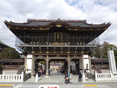 スカイライナーと成田山参り