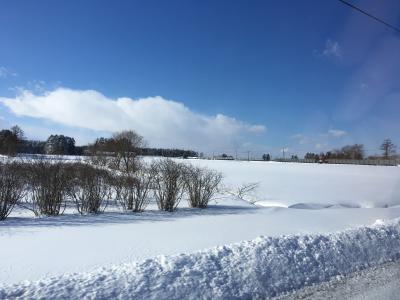 北海道で気になるものを食べ尽くす3日目