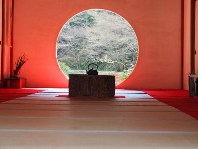 鎌倉　明月院　紫陽花・紅葉の季節を敢えて外して伺いました