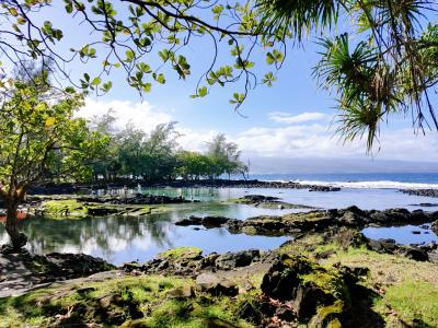 Mother-Daughter Trip to Hawaii ① 出発～ホノルル