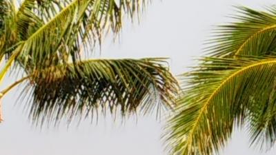 2020お正月ハワイ⑥