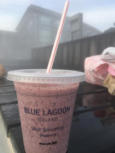 行きたかったアイスランド