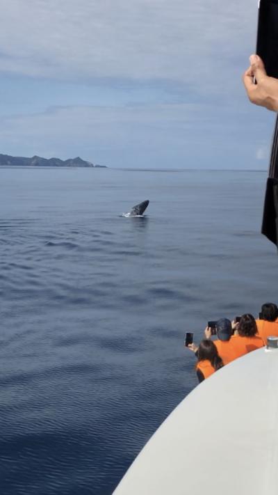 どこかにマイルで行く沖縄本島の旅③日目