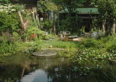 ２０１２年夏　再訪【もりあおがえる】