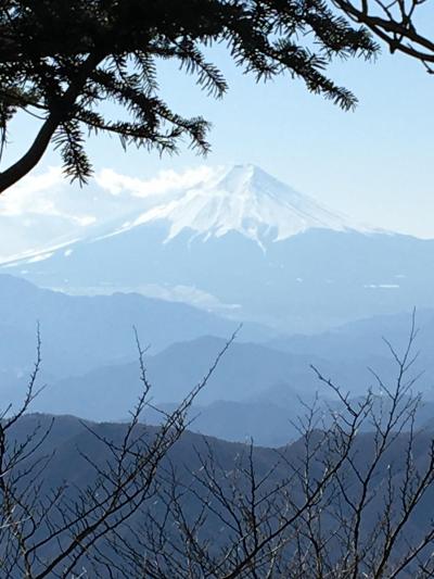 東京・奥多摩＜三頭山＞豊かな森を作るブナ林　トレッキング