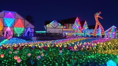 2020年1月 千葉日帰りバスツアー♪海鮮浜焼き♪いちご狩り♪東京ドイツ村