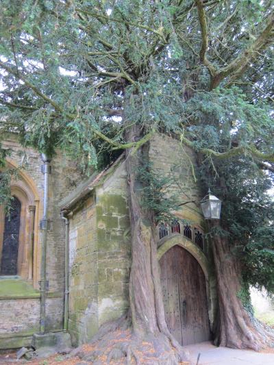 白鳥が舞うBibry＆ポピットの住むStow-on-the-Wold【4】はちみつ色に恋してCotswolds＊2019夏旅