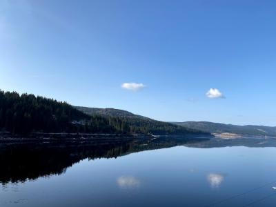 黒い森でウィンターハイキング❄