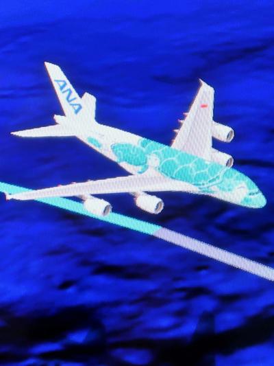 ANA-1　NH184便　ホノルルへ　機内は快適　☆エアバスA380-FLYING HONU-で