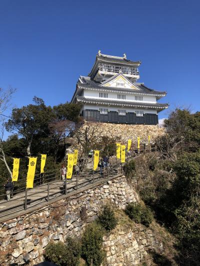 名鉄ハイキング「岐阜三社参りと長良川の伏流水からつくるたまりや山川醸造」、大河ドラマ館と金華山登山