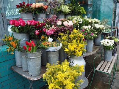 初めての一人旅!緊張とドキドキのイギリス滞在記⑥