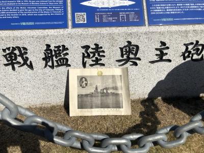 戦艦陸奥の主砲を見に行きました