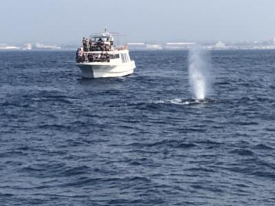 冬旅。本島のんびり3泊4日。