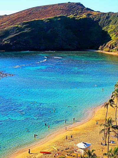 Oahu-12　ハナウマ湾展望台　自然保護の規制-厳格に　☆オアフ島周遊ツアー・下車15分