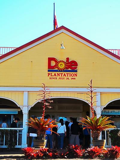 Oahu-15  ドール・プランテーション　休憩/買物　☆パイナップルの各種見本ガーデンも