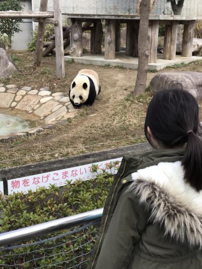 子連れ（6歳）でGo~パンダから有馬温泉へ