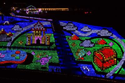 東京ドイツ村イルミネーション