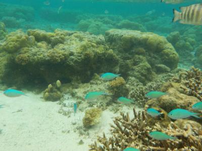 天気はいまいちでしたが、海はきれいなグアムでした（前編）