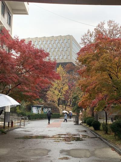 晩秋のソウル(留学中の娘も合流!)