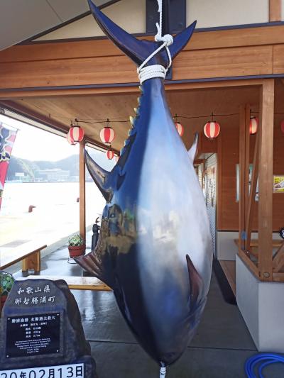 那智勝浦の町散策