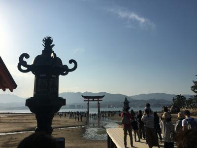 宮島 厳島神社 御朱印巡り に関する旅行記 ブログ フォートラベル 広島県