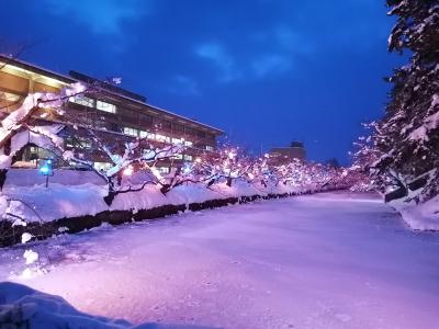 ’２０　冬の青森旅行８　弘前城雪燈籠まつり＆冬に咲くさくらライトアップ①
