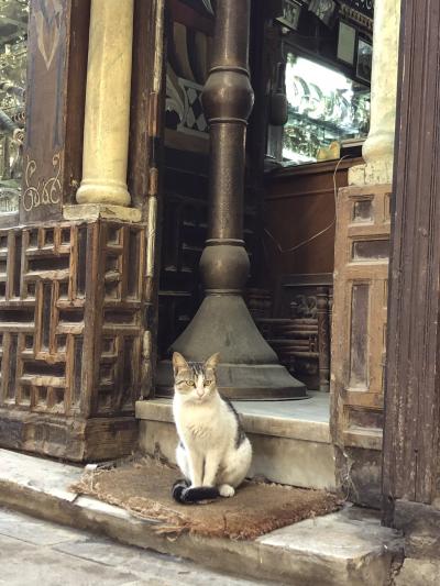 ナイル川クルーズとエジプト周遊10日間