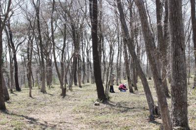 水郷県民の森で野草ウォッチング [2012](1)