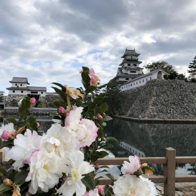 今治は魚がうまい ! 松山は野菜がうまい