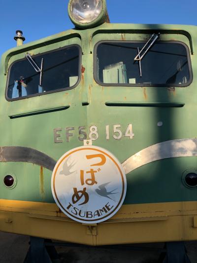 鉄道博物館は歩いて行こう