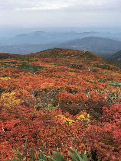 ひと足早い紅葉登山　栗駒山