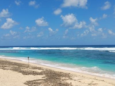 南太平洋２０１９－２０２０年末年始旅行記　【７】タンナ島４（ホワイトサンズ・ビーチ他）