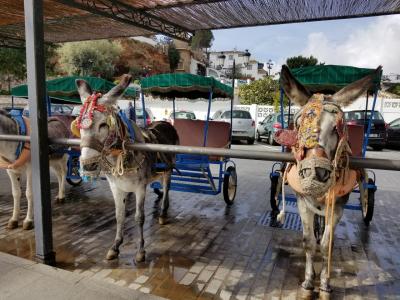 スペインをまわる旅③ミハス、ロンダ