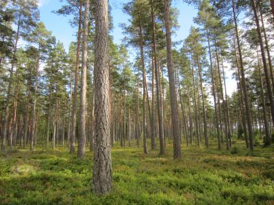 Karlskrona～カールスクルーナ：ニルスの不思議な旅にも登場する街～