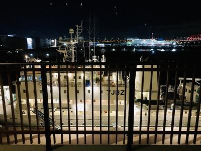 たまにはいいかなこんな関西旅も、神戸みなと温泉蓮に泊まるためだけに