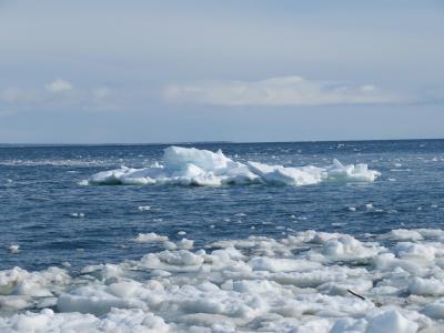北海道で流氷を見てきました。