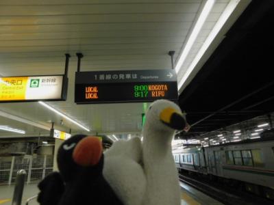 東北本線下り普通列車で小牛田駅方面へ北上！