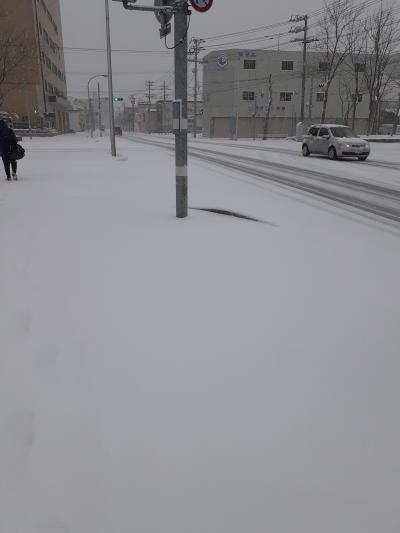 夫からのプレゼントは函館旅 その2