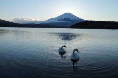 富士山が美しすぎて♪　西湖野鳥の森公園、西湖いやしの里根場＆山中湖ダイヤモンド富士♪