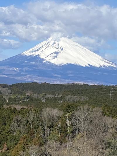 箱根芦ノ湖　はなをりに泊まりに